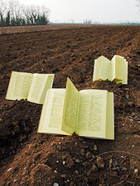 Organic Wisdom From Old Agriculture Books Image